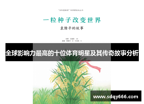 全球影响力最高的十位体育明星及其传奇故事分析