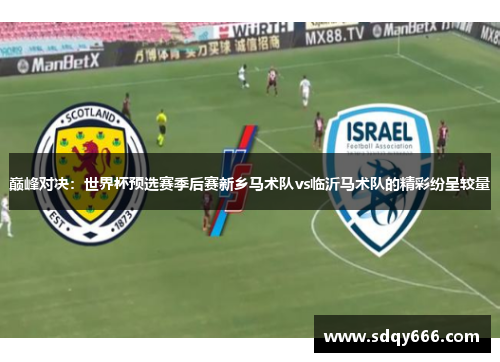 巅峰对决：世界杯预选赛季后赛新乡马术队vs临沂马术队的精彩纷呈较量